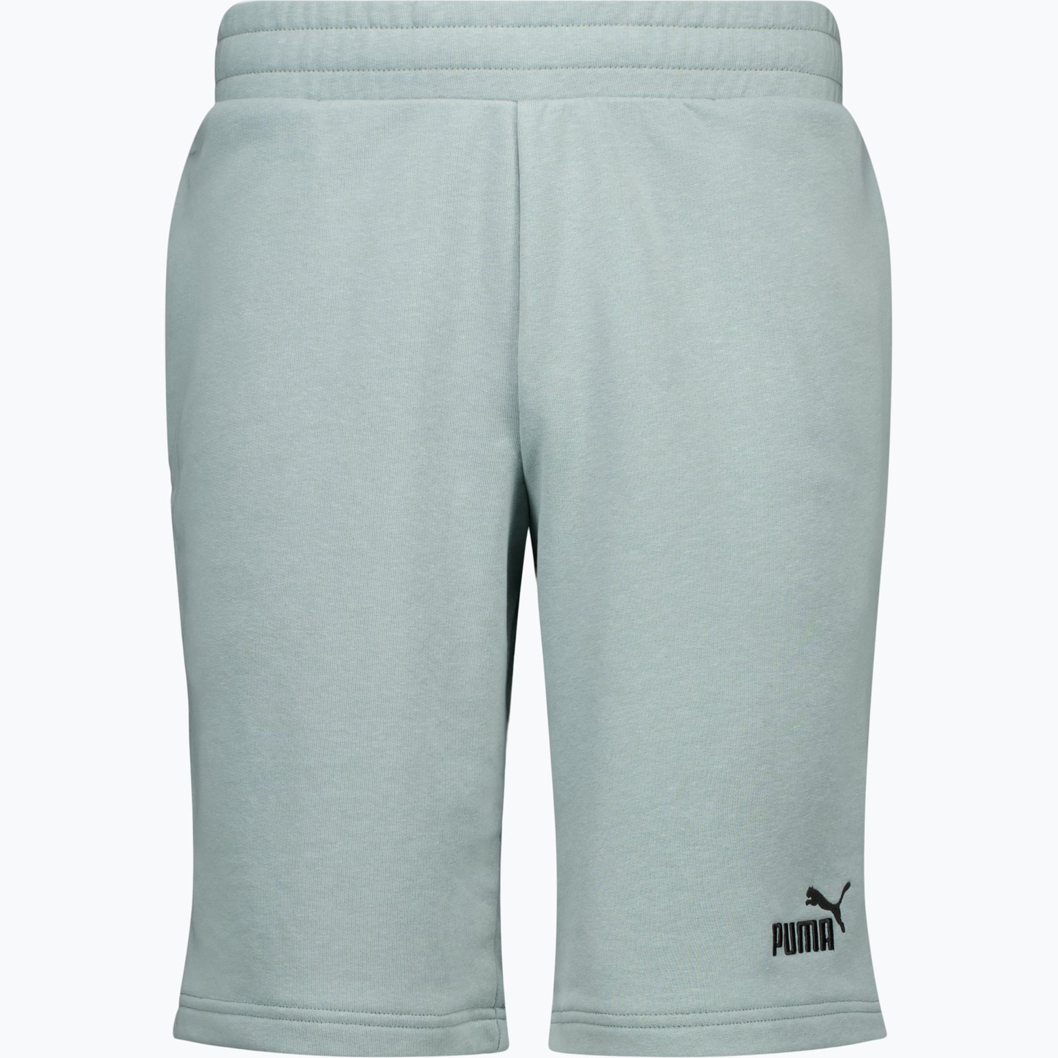 Puma Essentials Small Logo M shorts Grön