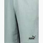 förhandsvisning ikon 6 för Puma Essentials Small Logo M shorts Grön