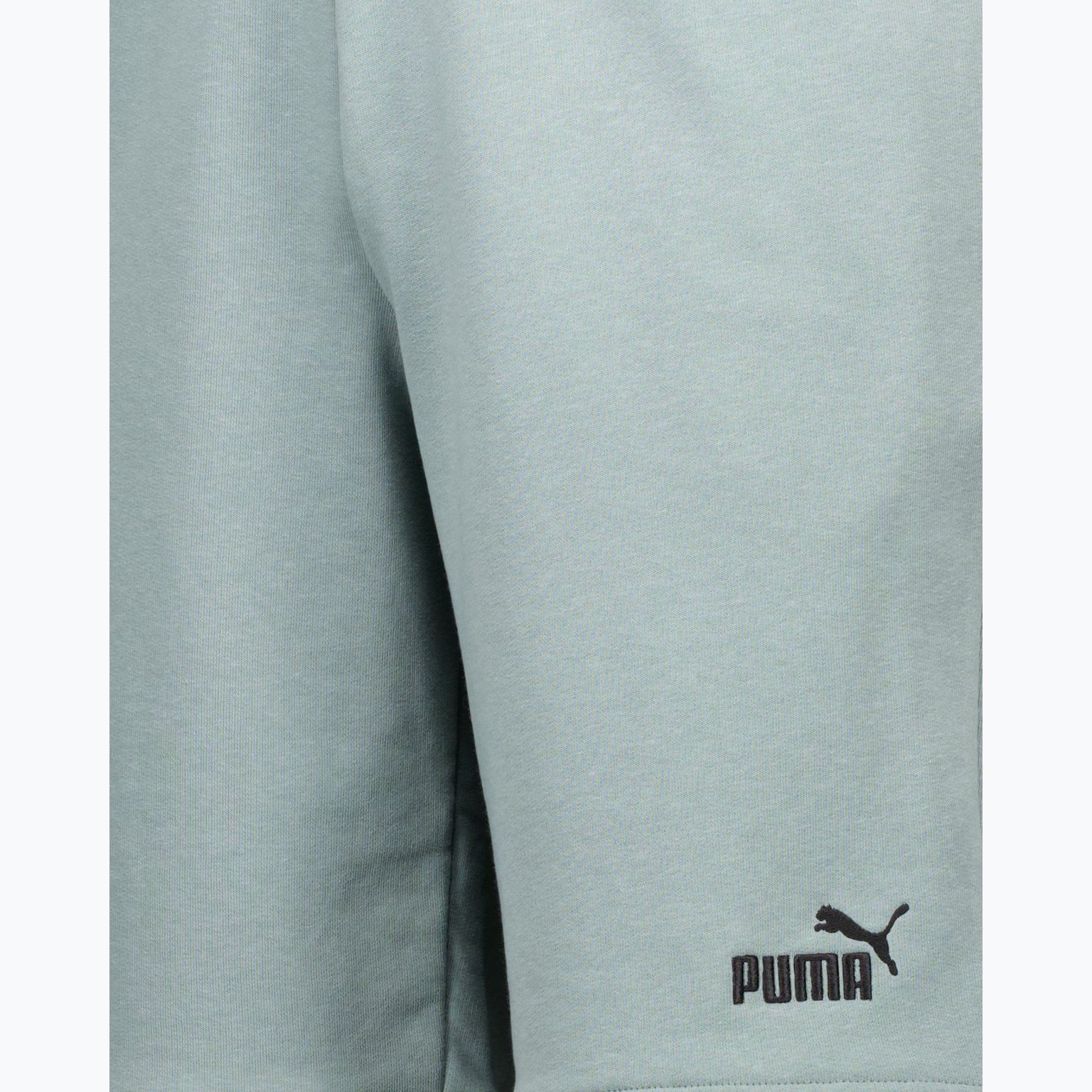 Puma Essentials Small Logo M shorts Grön