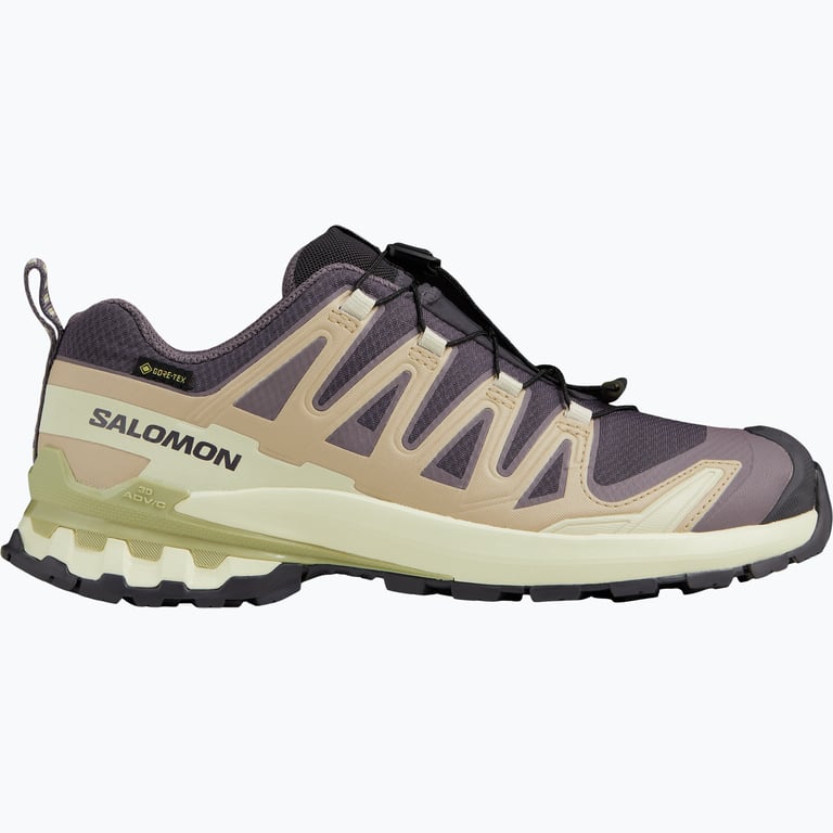 Salomon XA Pro 3D v9 Gore-Tex W walkingskor Beige