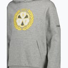 förhandsvisning ikon 3 för Brynäs IF CREST HOOD 2.0 JR Grå