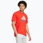 förhandsvisning ikon 3 för adidas FC Bayern München Seasonal Graphic M t-shirt Röd