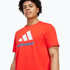 förhandsvisning ikon 4 för adidas FC Bayern München Seasonal Graphic M t-shirt Röd