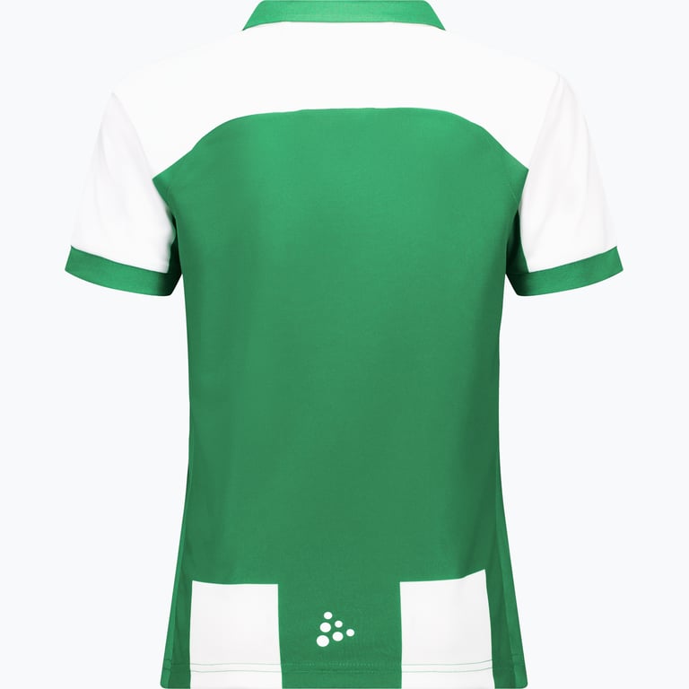 Hammarby 25 Cup Jr Replica matchtröja Grön