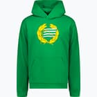 färgalternativ för Grön Hammarby Hammarby 25 huvtröja