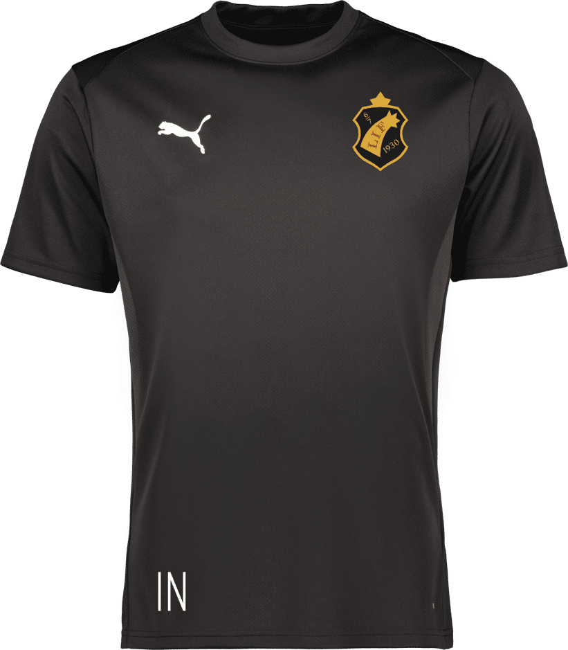 Puma teamGOAL Jersey Jr 