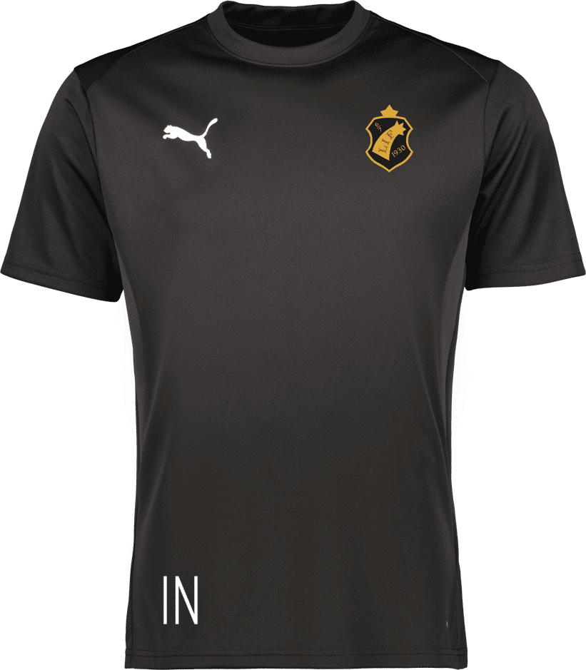 Puma teamGOAL Jersey 