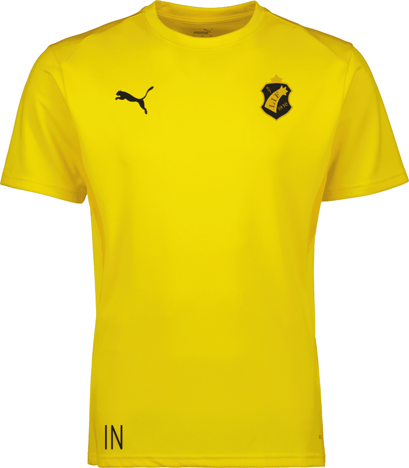 Puma teamGOAL Jersey 
