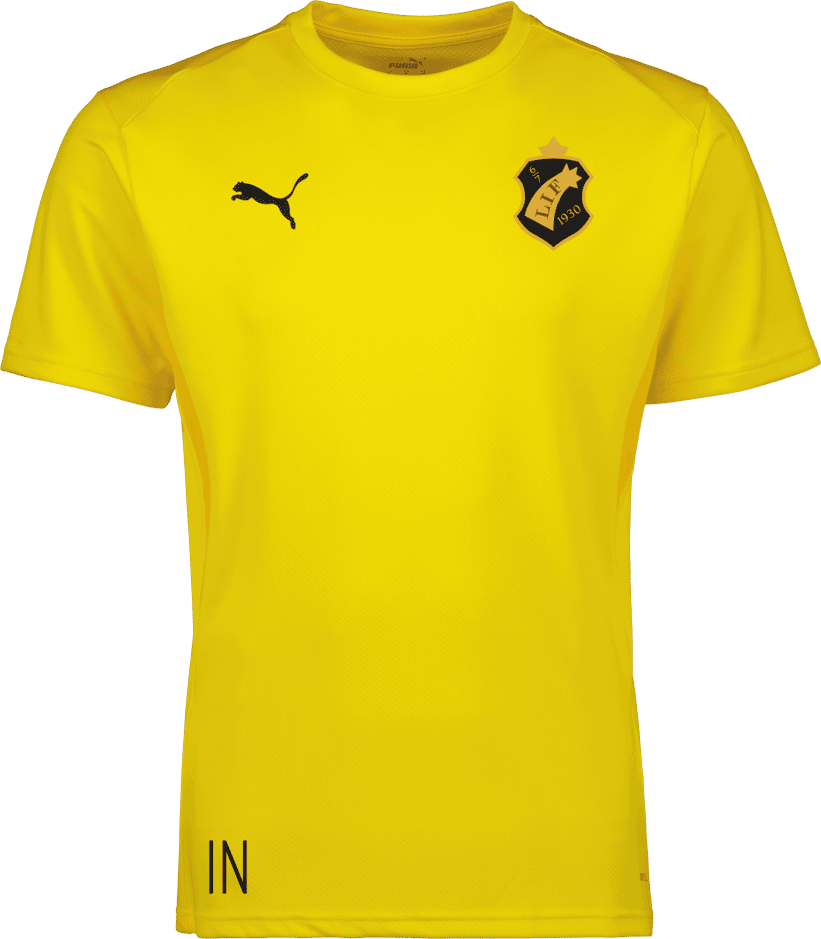 Puma teamGOAL Jersey Jr 
