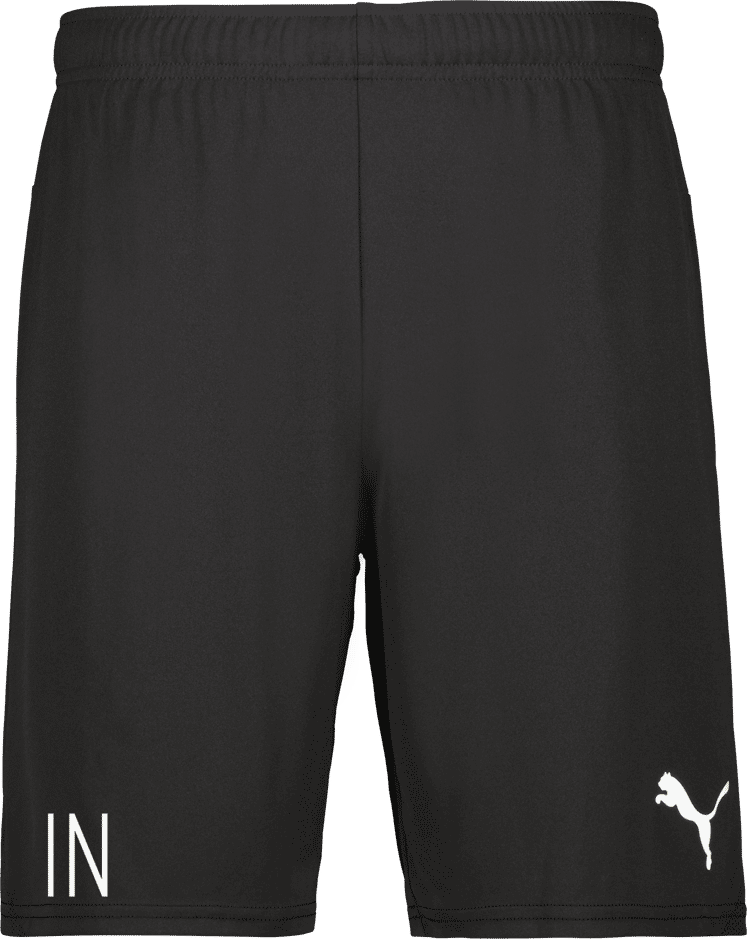 Puma teamGOAL Shorts Jr 