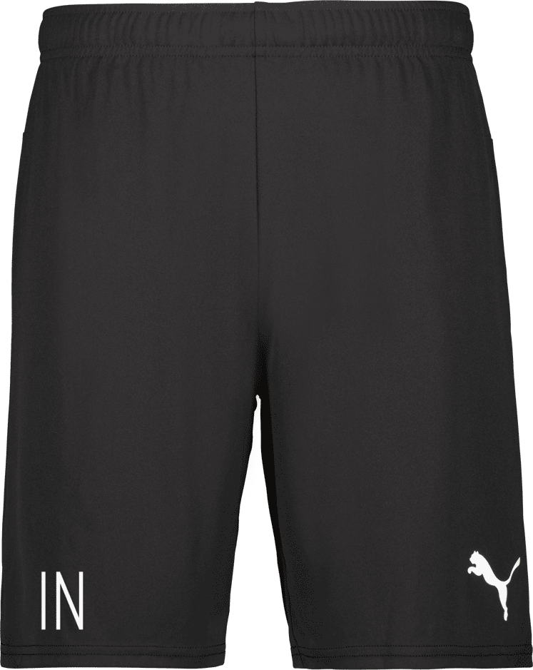 Puma teamGOAL Shorts 