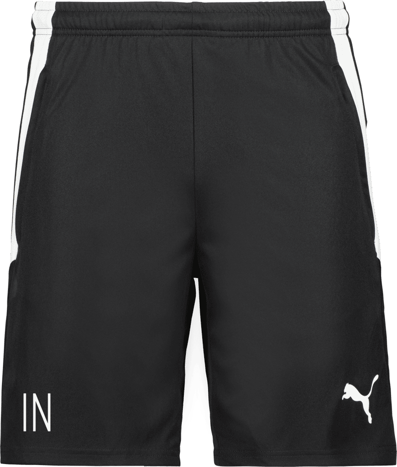 Puma TeamLIGA träningsshorts