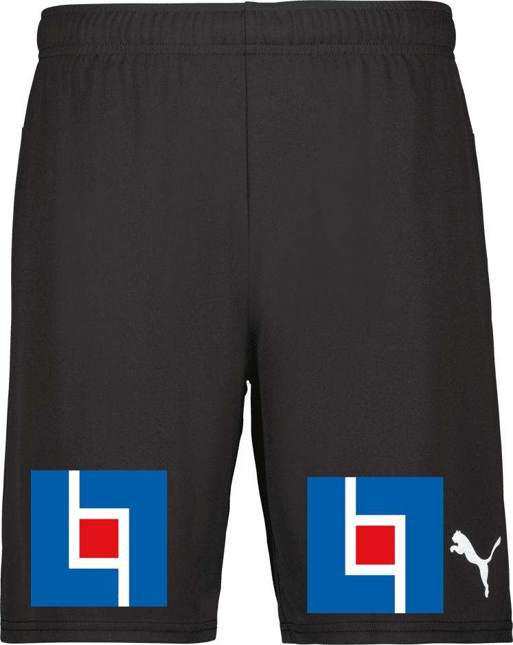 Puma teamGOAL Shorts 