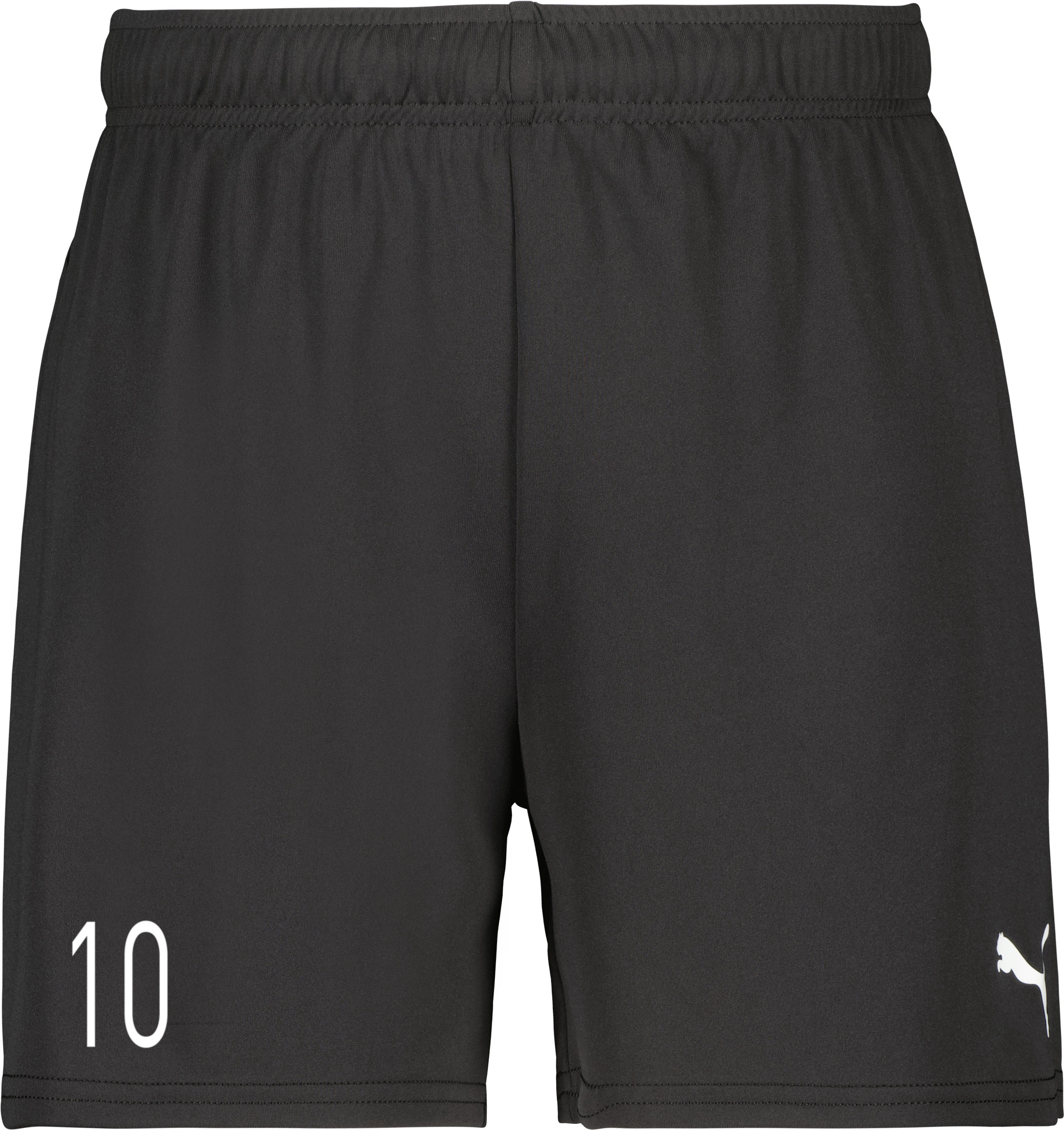 teamGOAL Shorts W 