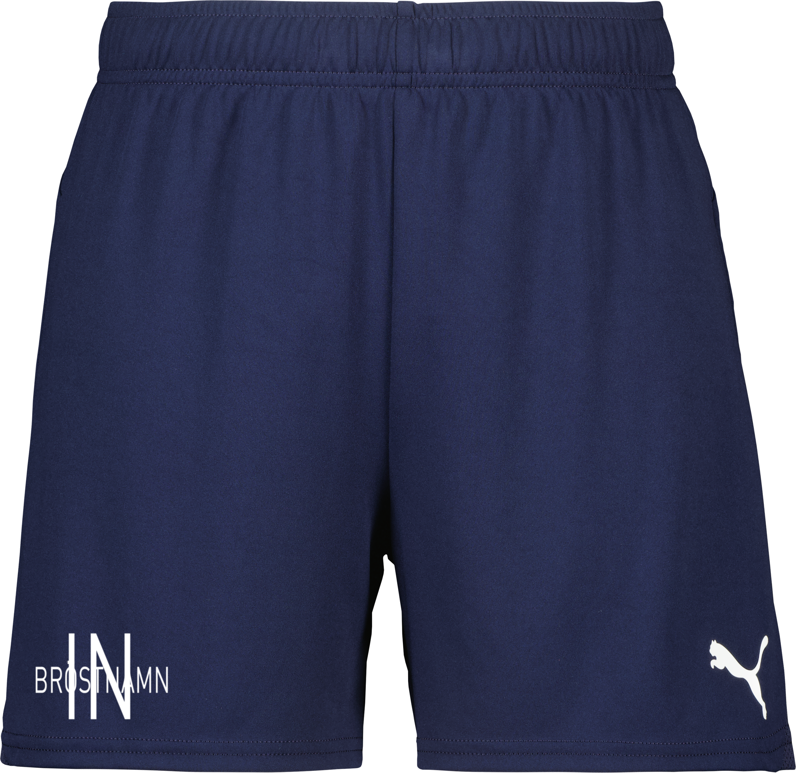 teamGOAL Shorts W 