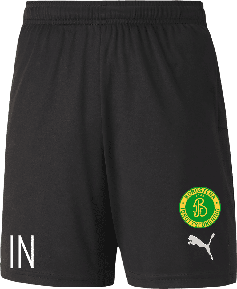 Puma TeamGoal 23 knit shorts Sr