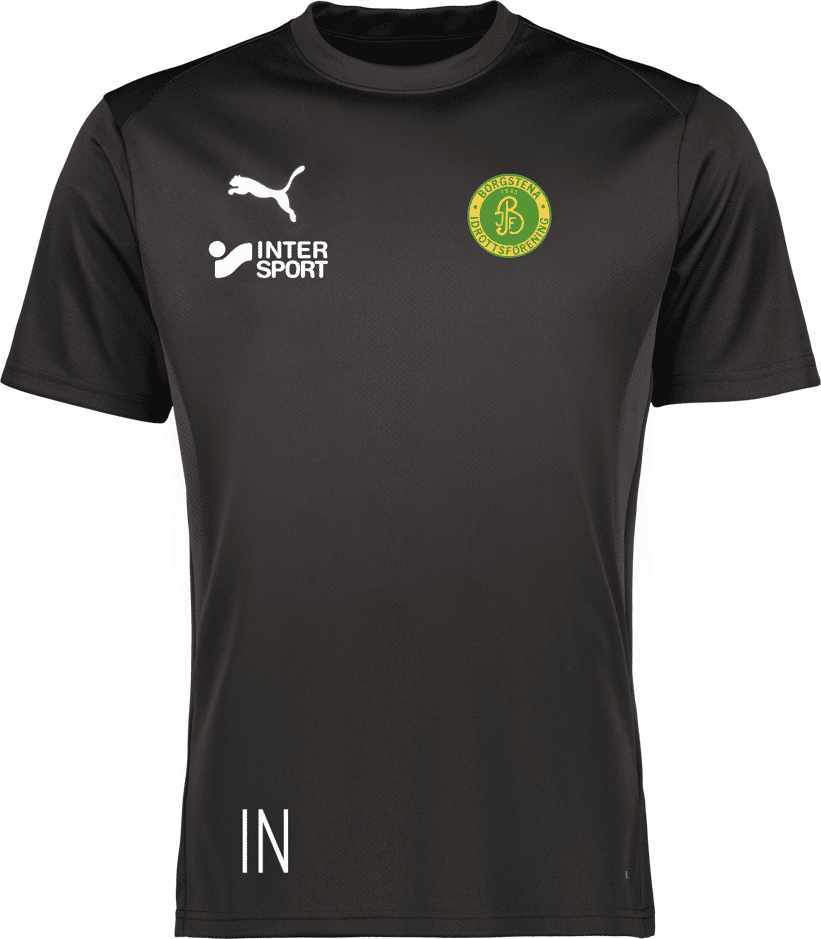 Puma teamGOAL Jersey Jr 