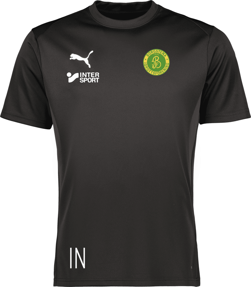 Puma teamGOAL Jersey 