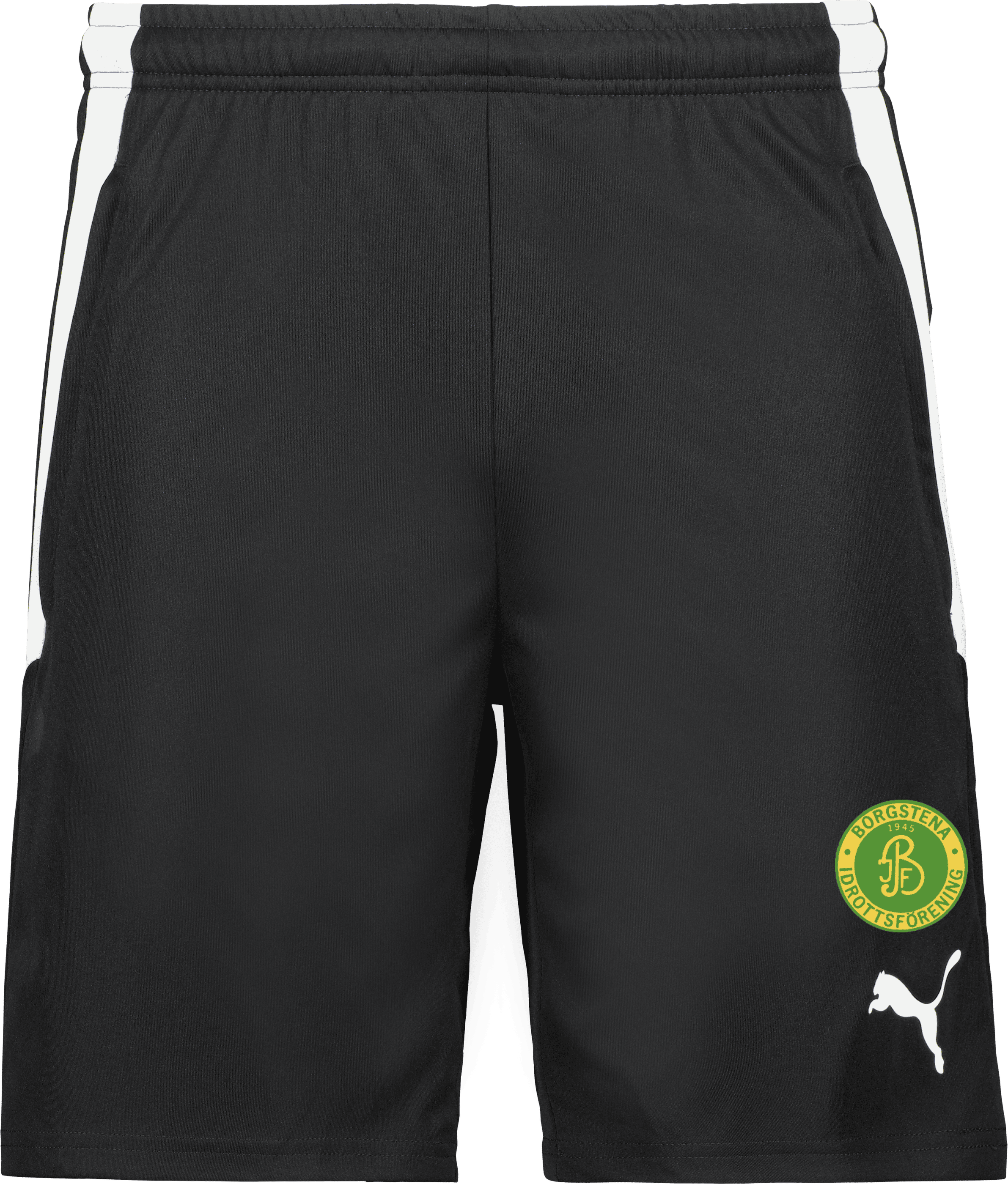 TeamLIGA träningsshorts
