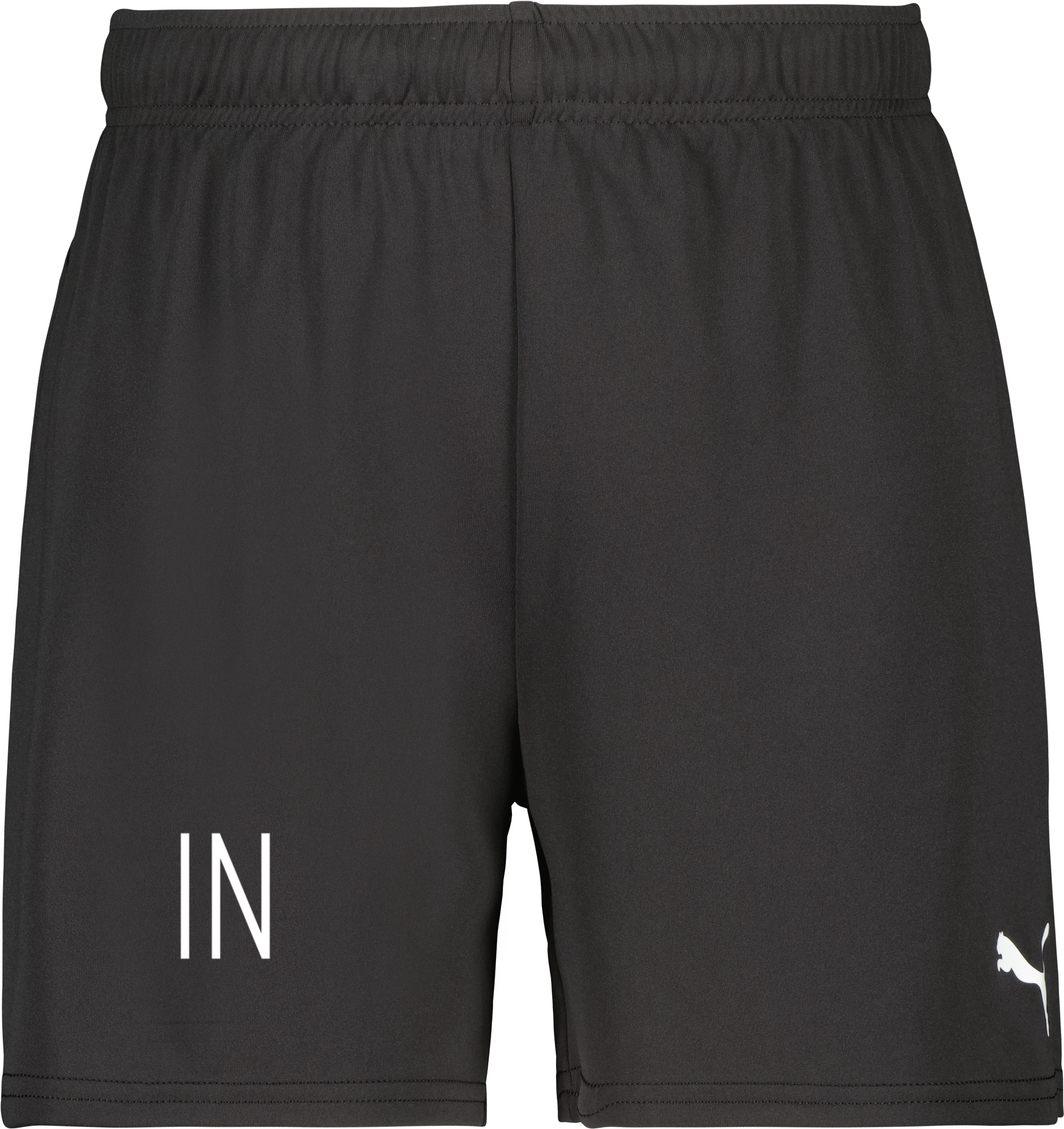 teamGOAL Shorts W 