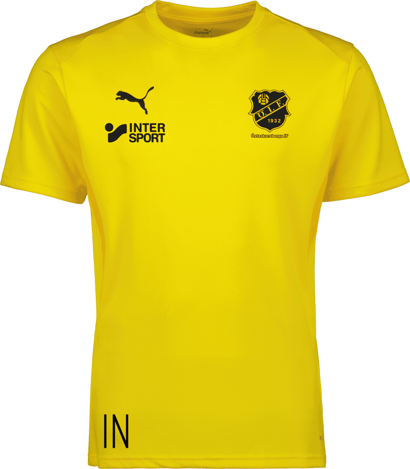 Puma teamGOAL Jersey 