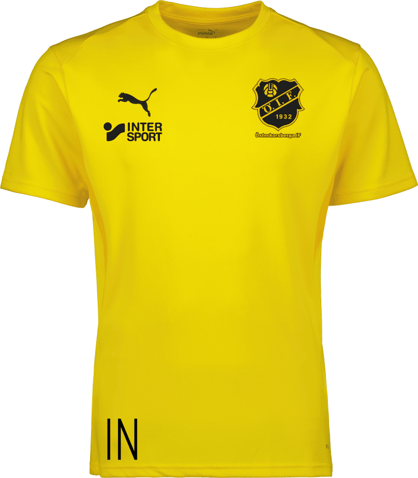 Puma teamGOAL Jersey Jr 