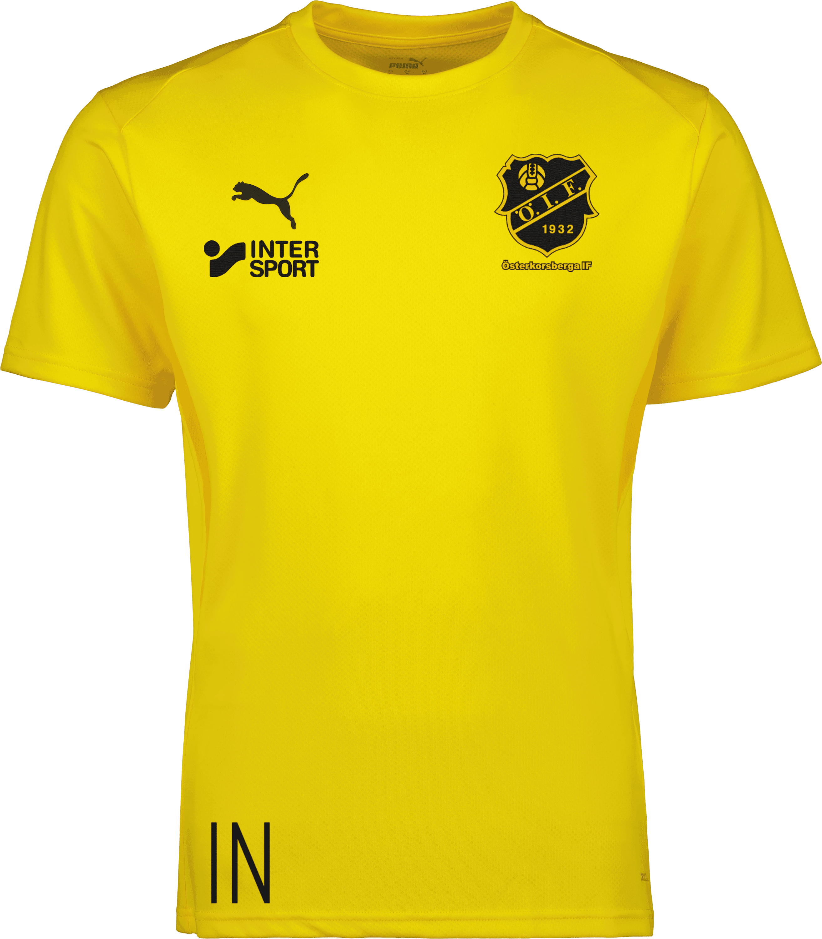 teamGOAL Jersey Jr 