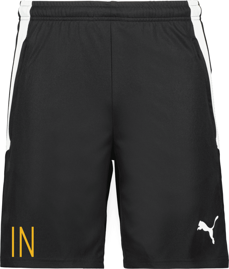 Puma TeamLIGA träningsshorts