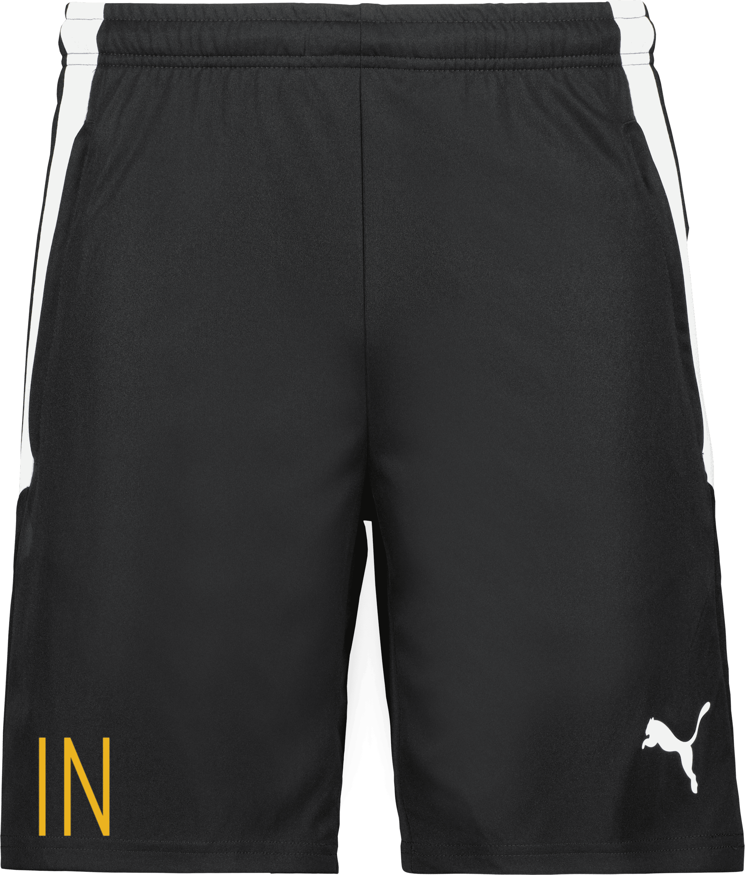 TeamLIGA träningsshorts