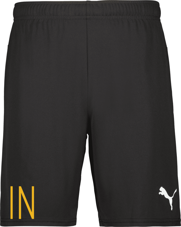 Puma teamGOAL Shorts Jr 
