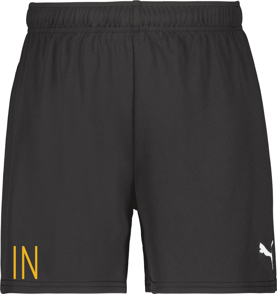 Puma teamGOAL Shorts W 