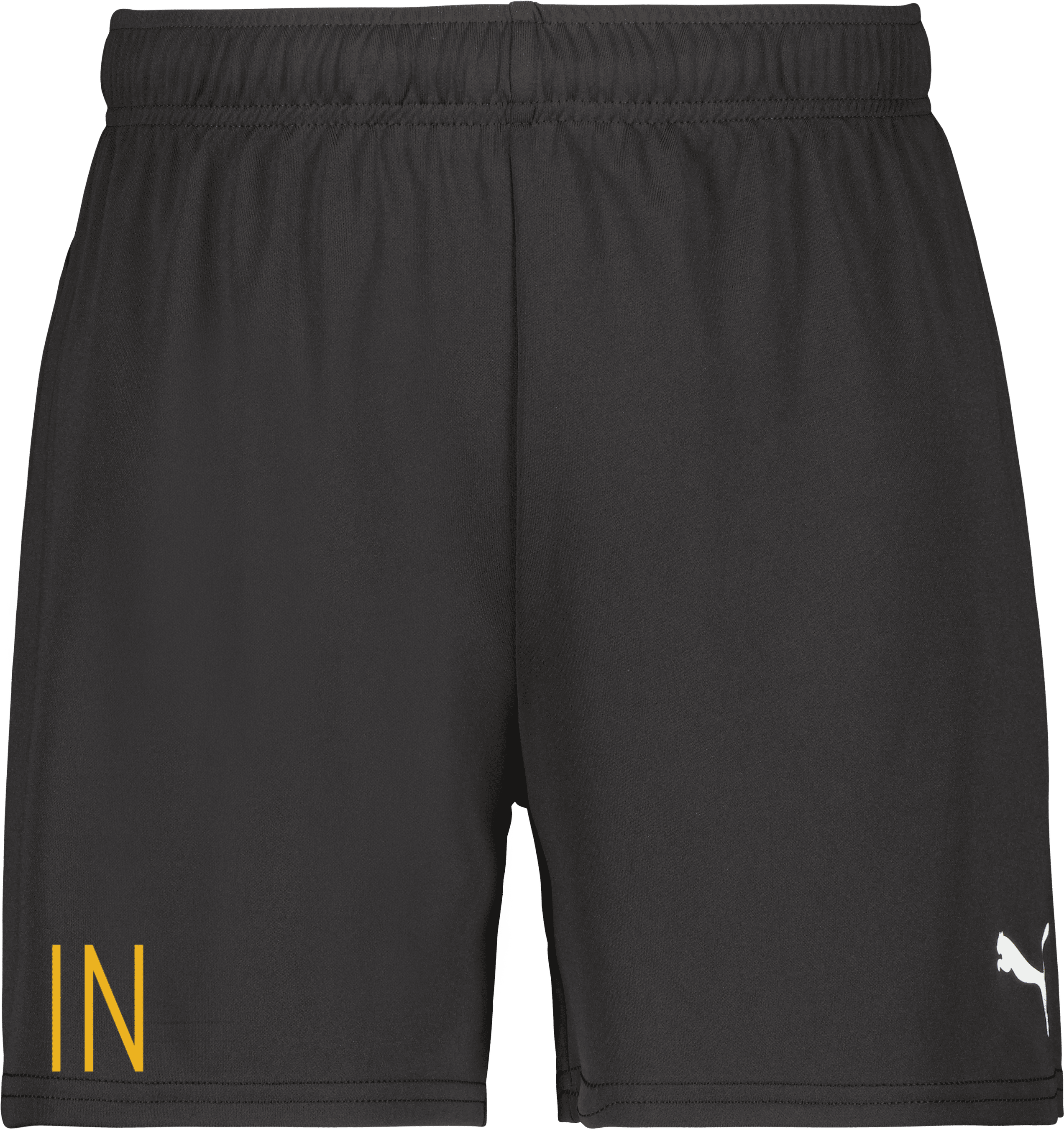 teamGOAL Shorts W 