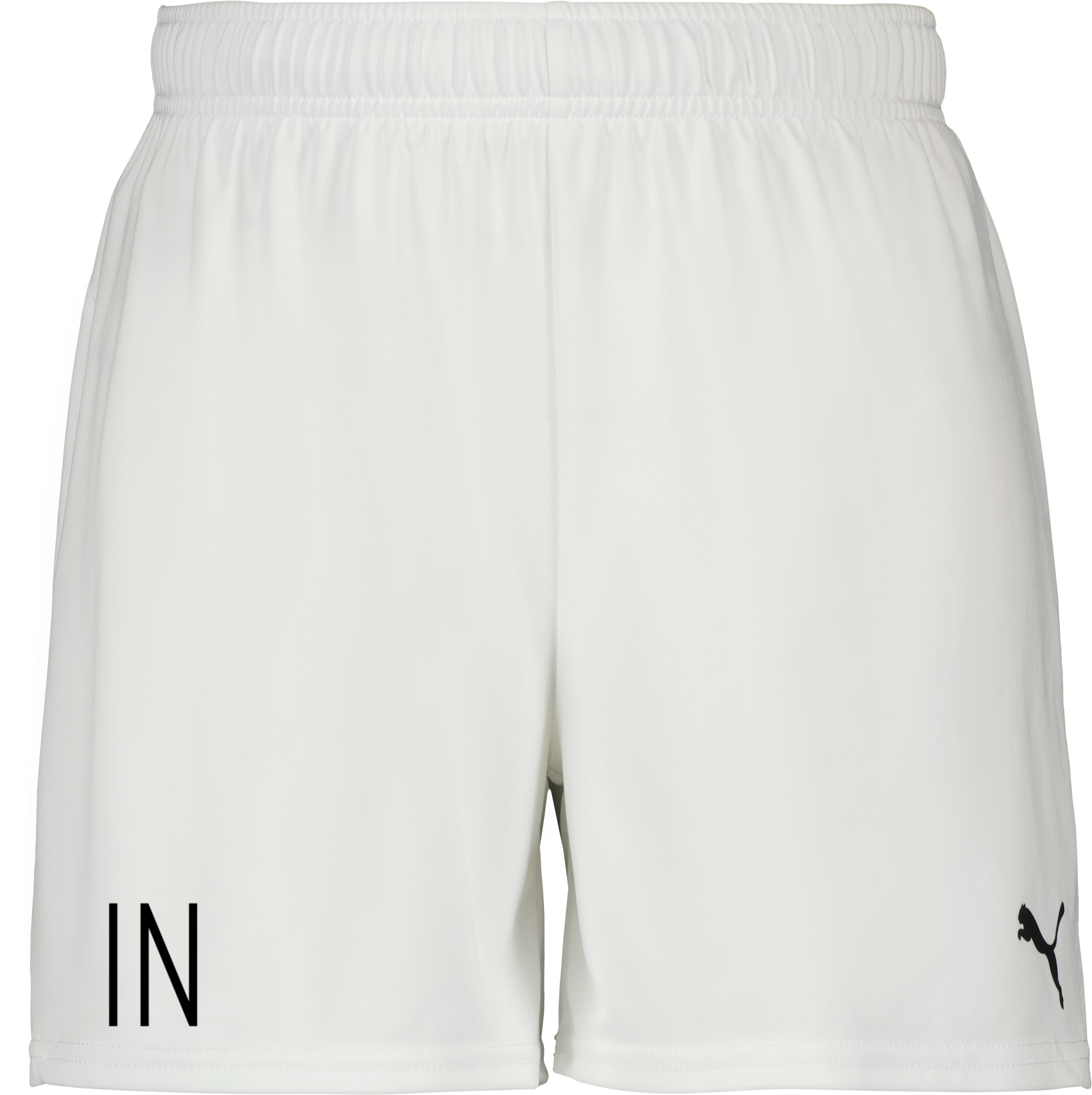 teamGOAL Shorts W 