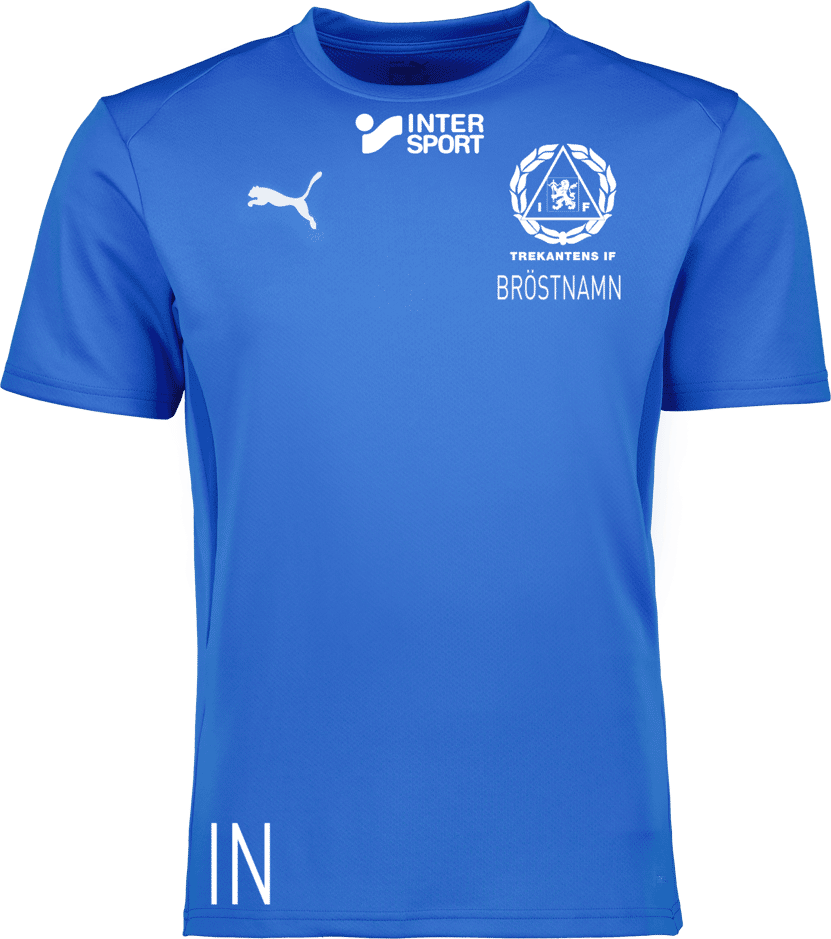 Puma teamGOAL Jersey Jr 