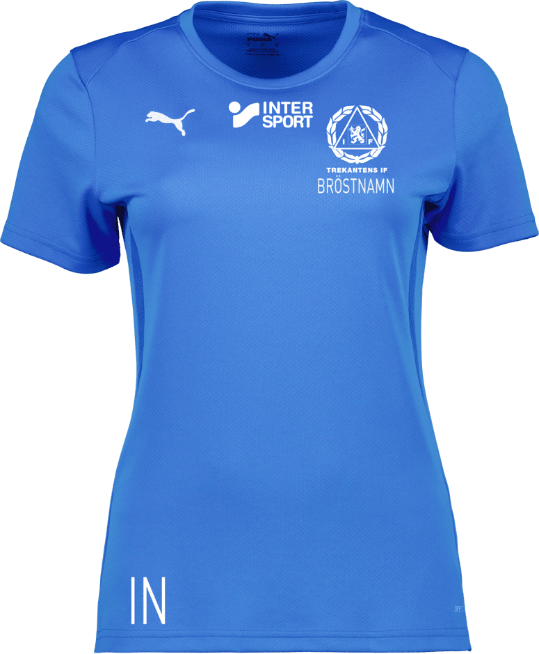 Puma teamGOAL Jersey W 