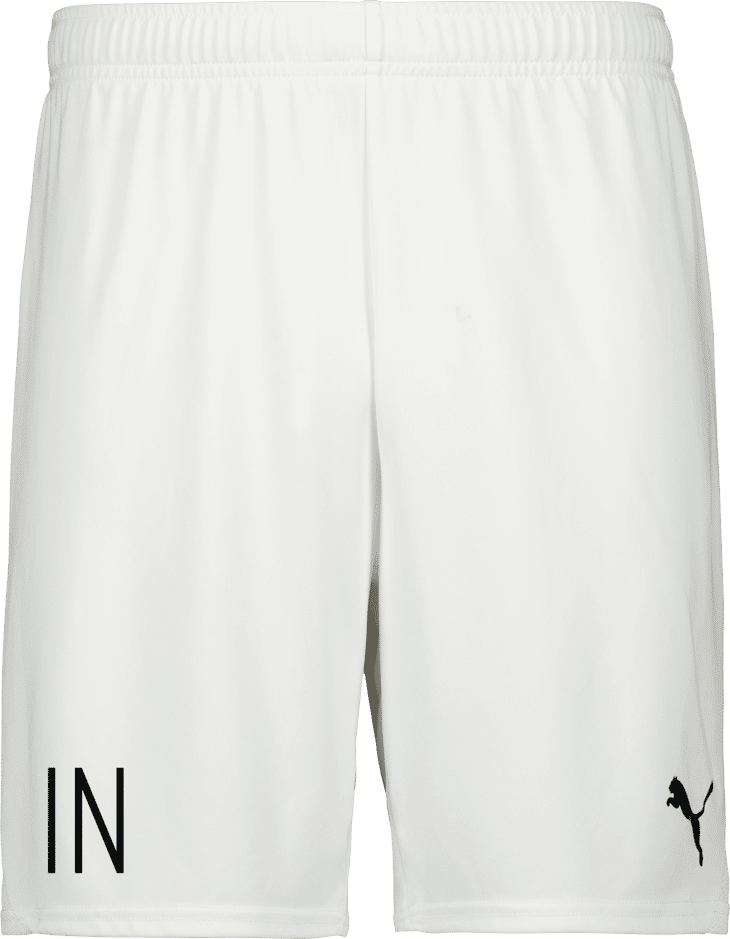 Puma teamGOAL Shorts 