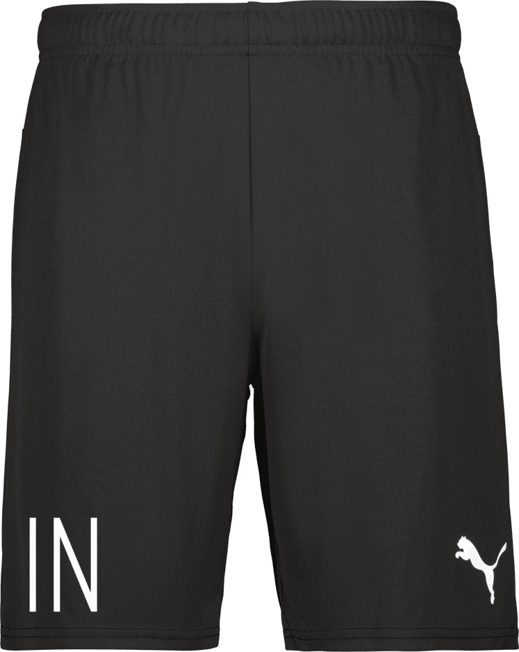 Puma teamGOAL Shorts Jr 