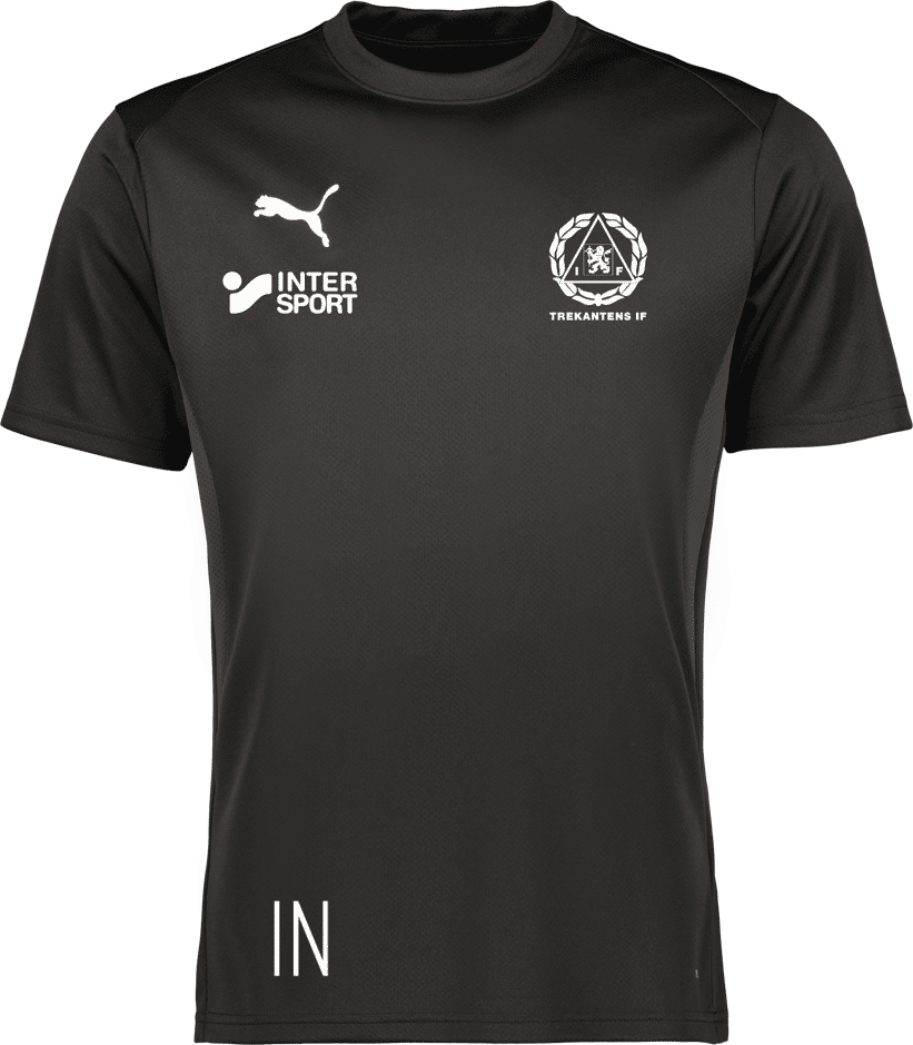 Puma teamGOAL Jersey 