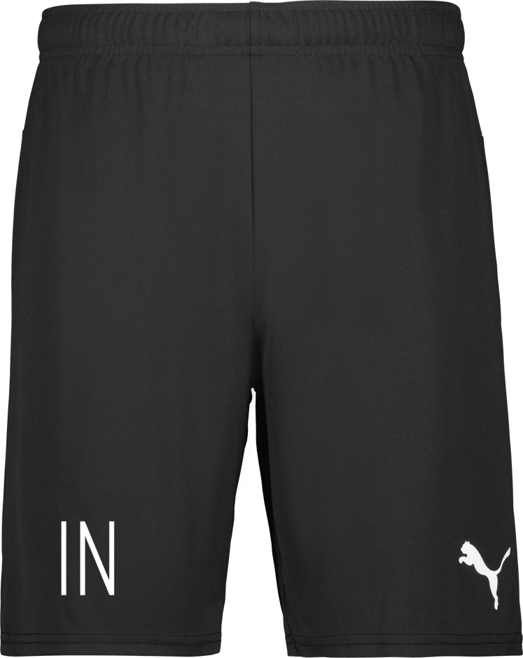 Puma teamGOAL Shorts 