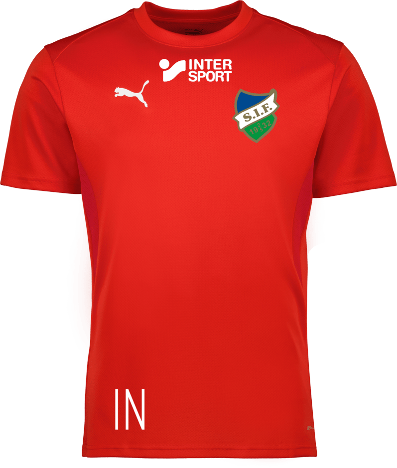 Puma teamGOAL Jersey Jr 