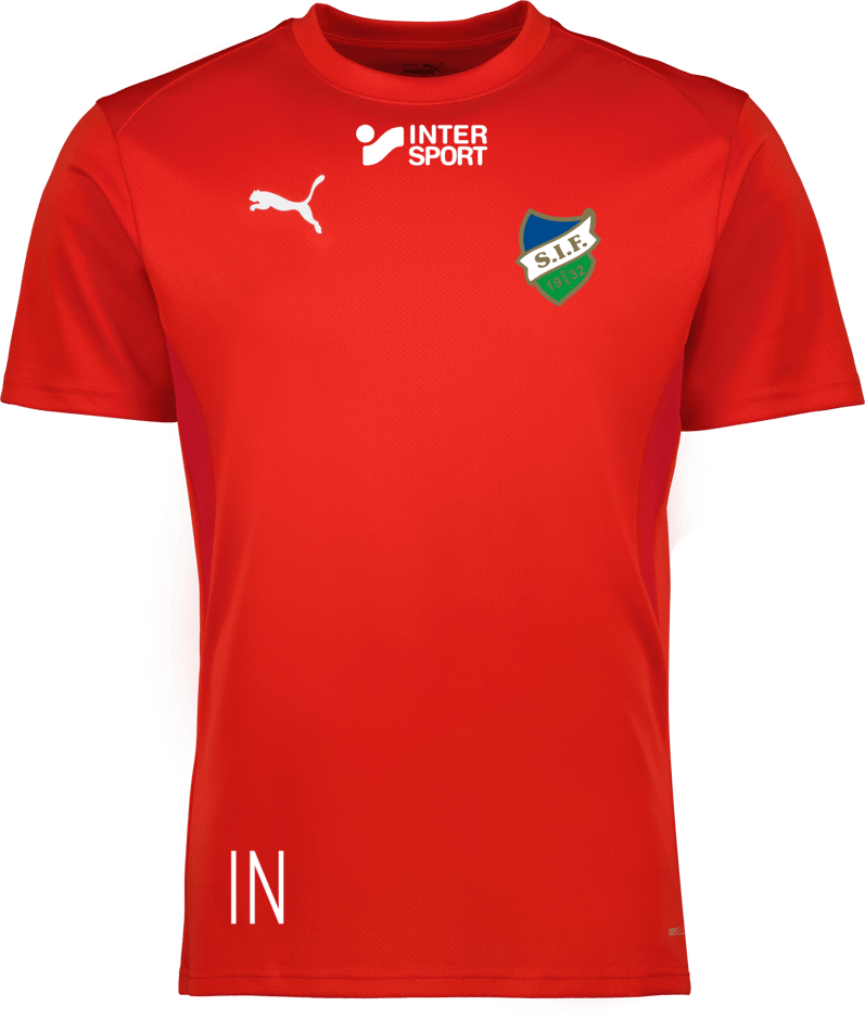 Puma teamGOAL Jersey 