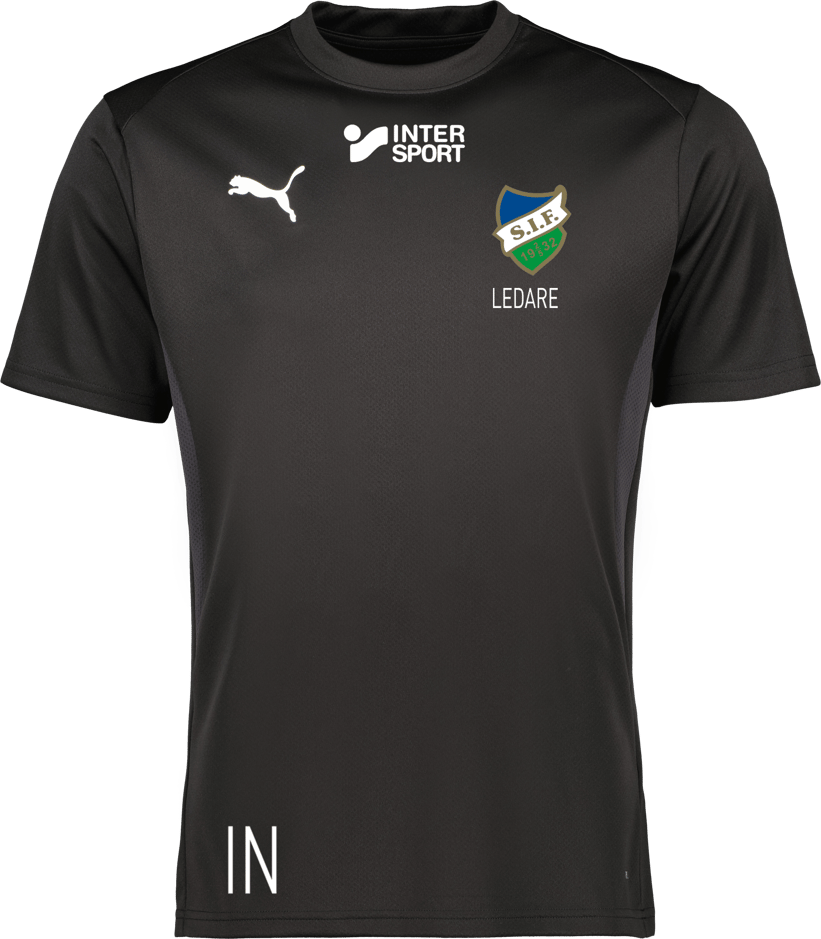 Puma teamGOAL Jersey 