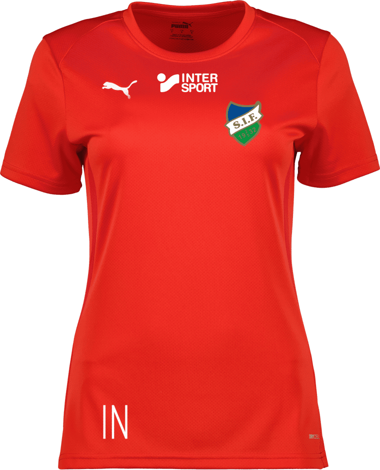 Puma teamGOAL Jersey W 
