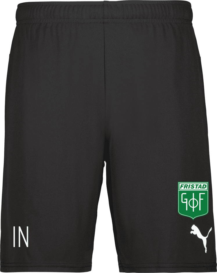 Puma teamGOAL Shorts 