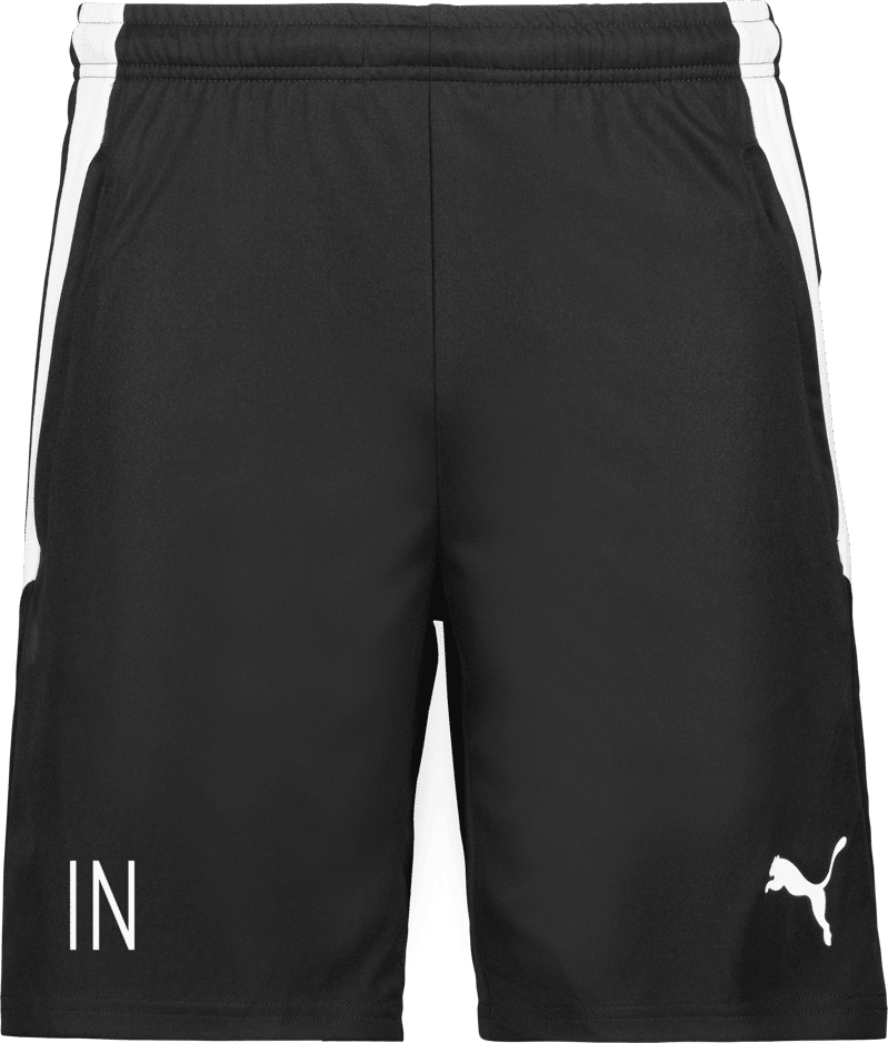 Puma TeamLIGA träningsshorts