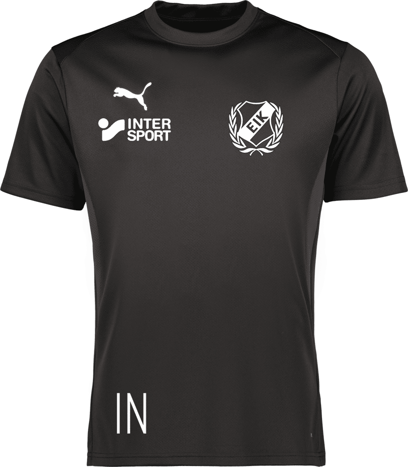 Puma teamGOAL Jersey Jr 