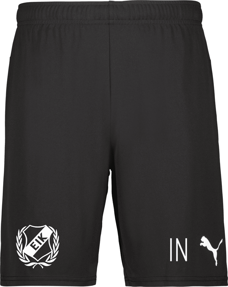 Puma teamGOAL Shorts 