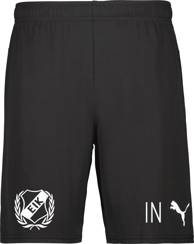 Puma teamGOAL Shorts Jr 
