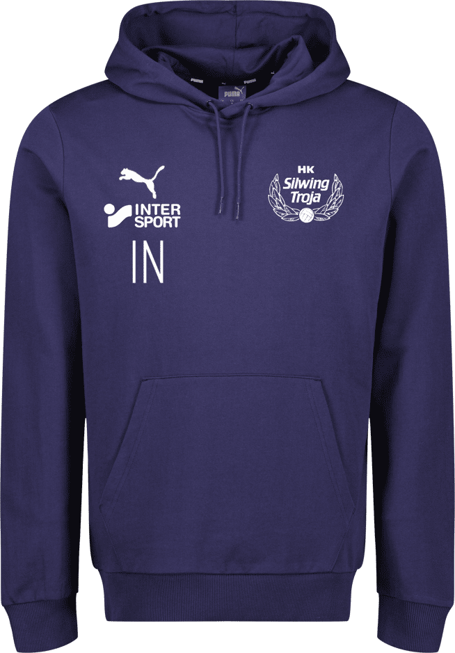 Puma teamGOAL Casuals Hoody 