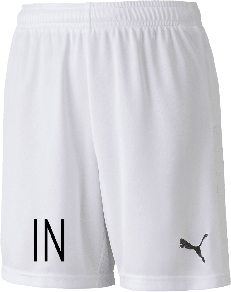 Puma TeamGoal 23 knit shorts Jr